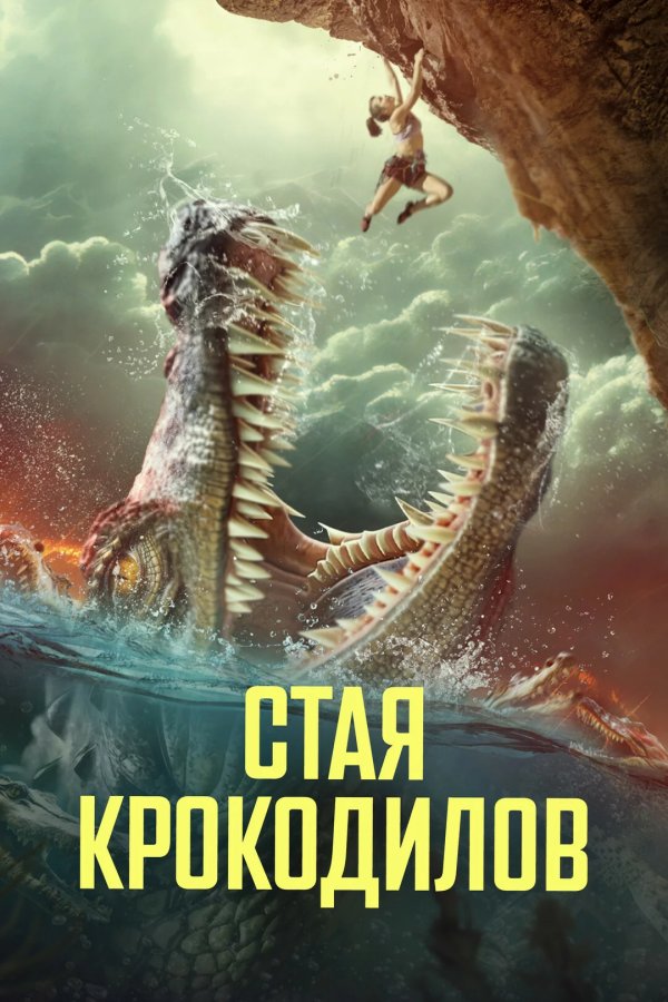 Стая крокодилов
