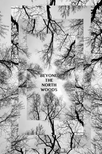 За Северным лесом